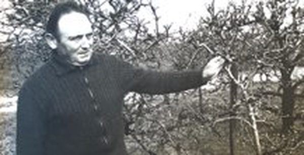 Fernand dans ses vergers